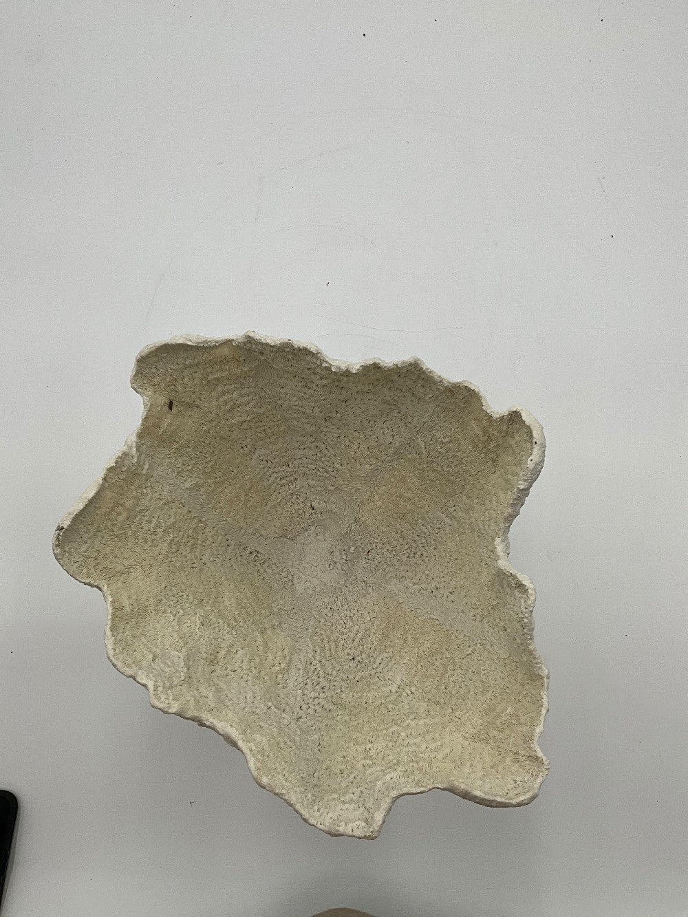 Pottery Barn Coral Vase