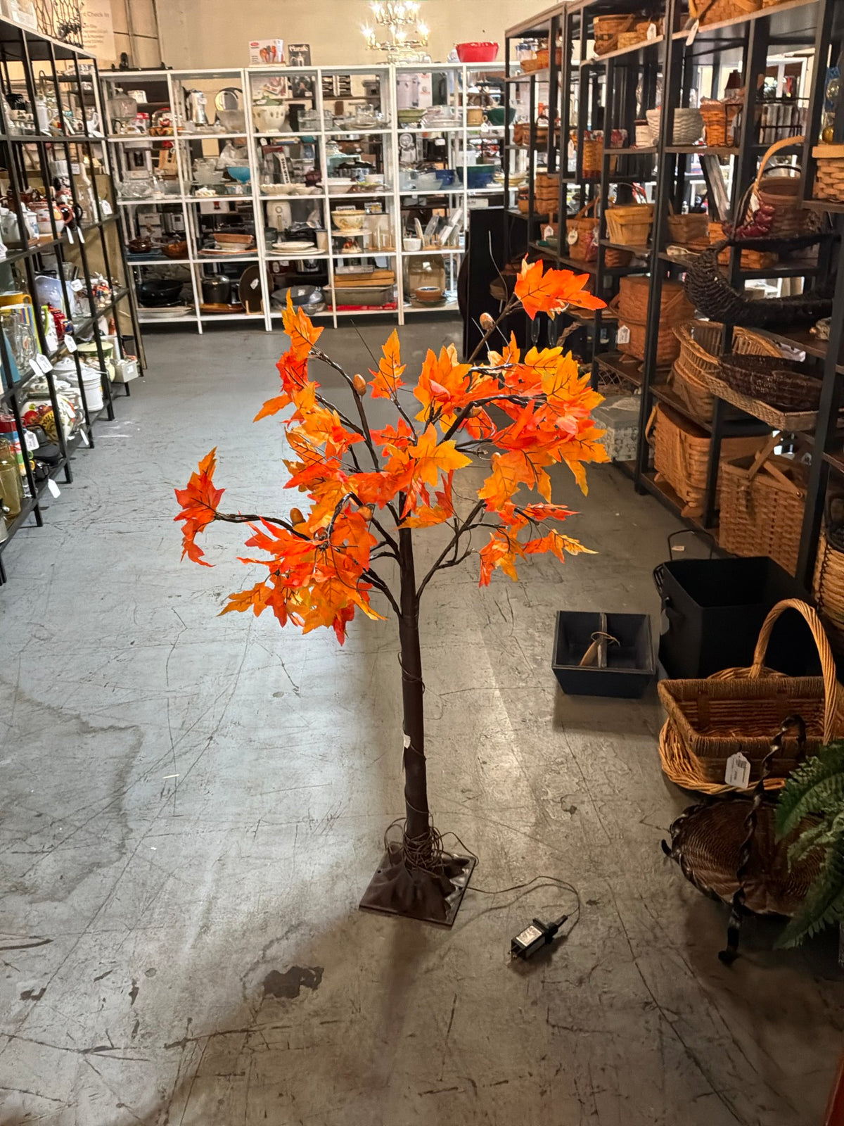 Sm Light Up Fall Tree