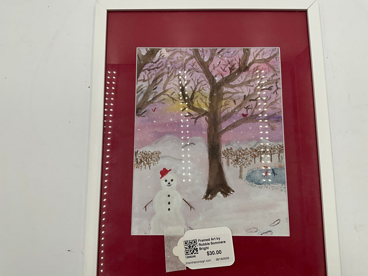 Framed Art by Robbie Sommers Bright