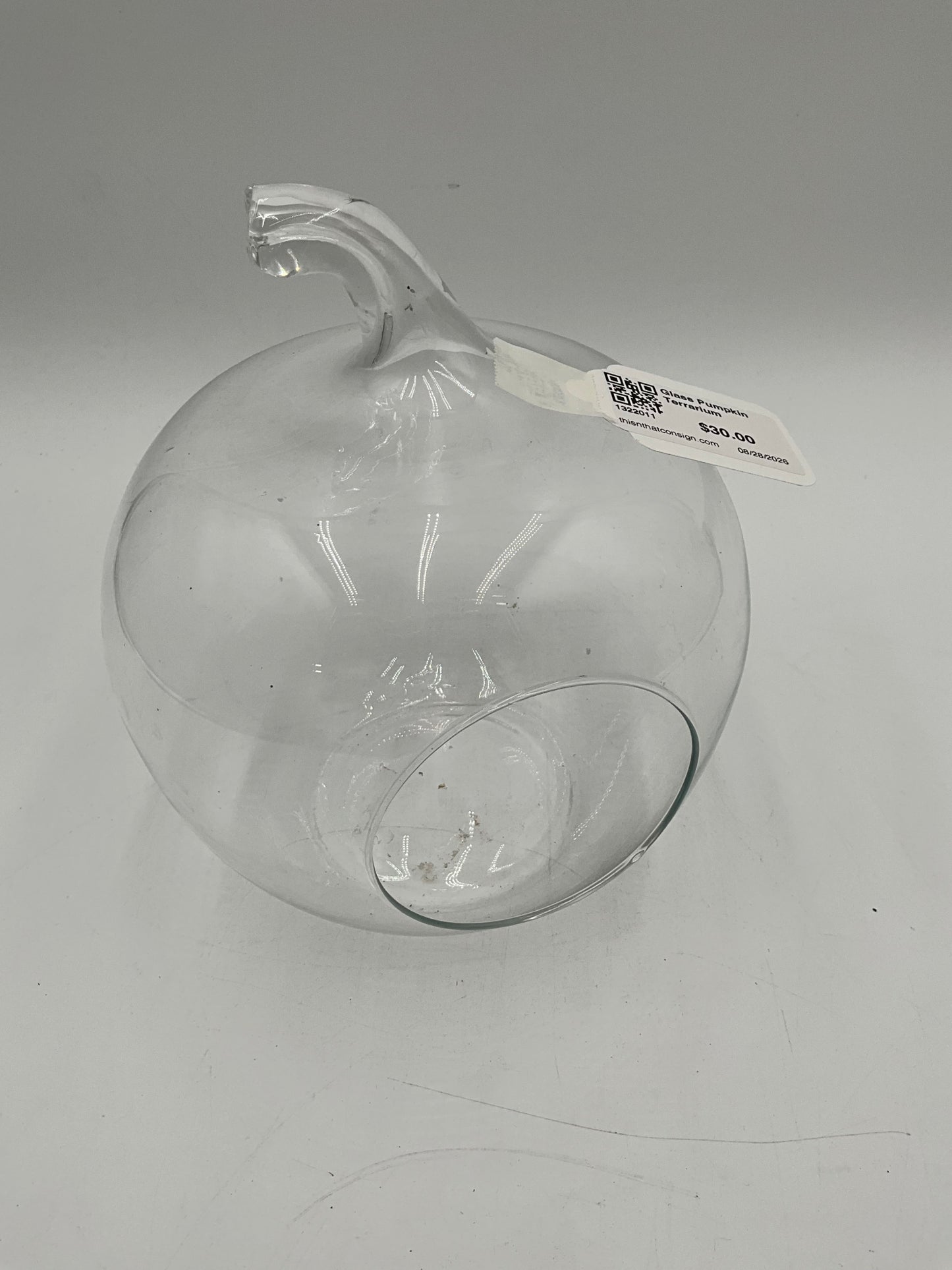 Glass Pumpkin Terrarium