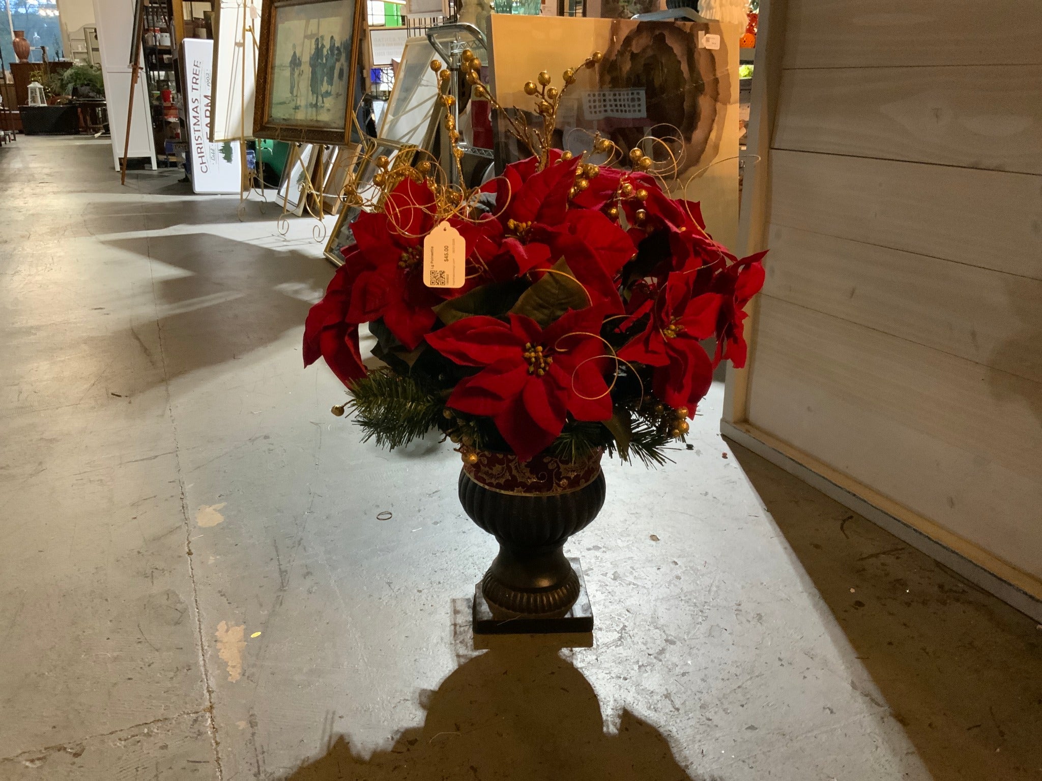 Lg Poinsettia