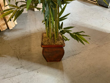 Faux Bamboo Plant