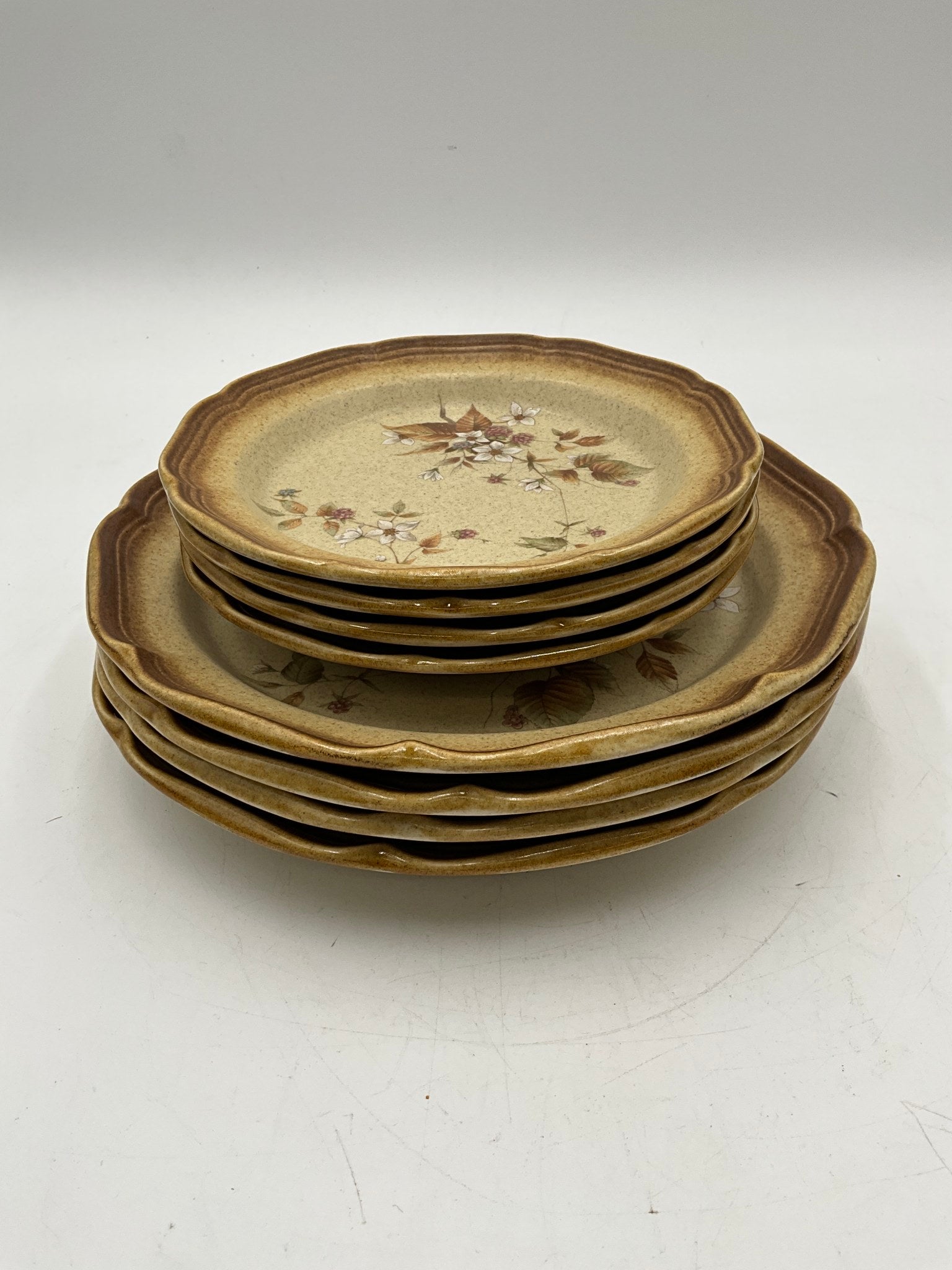 Mikasa Whole Wheat Raspberry 8Pc Plate Set