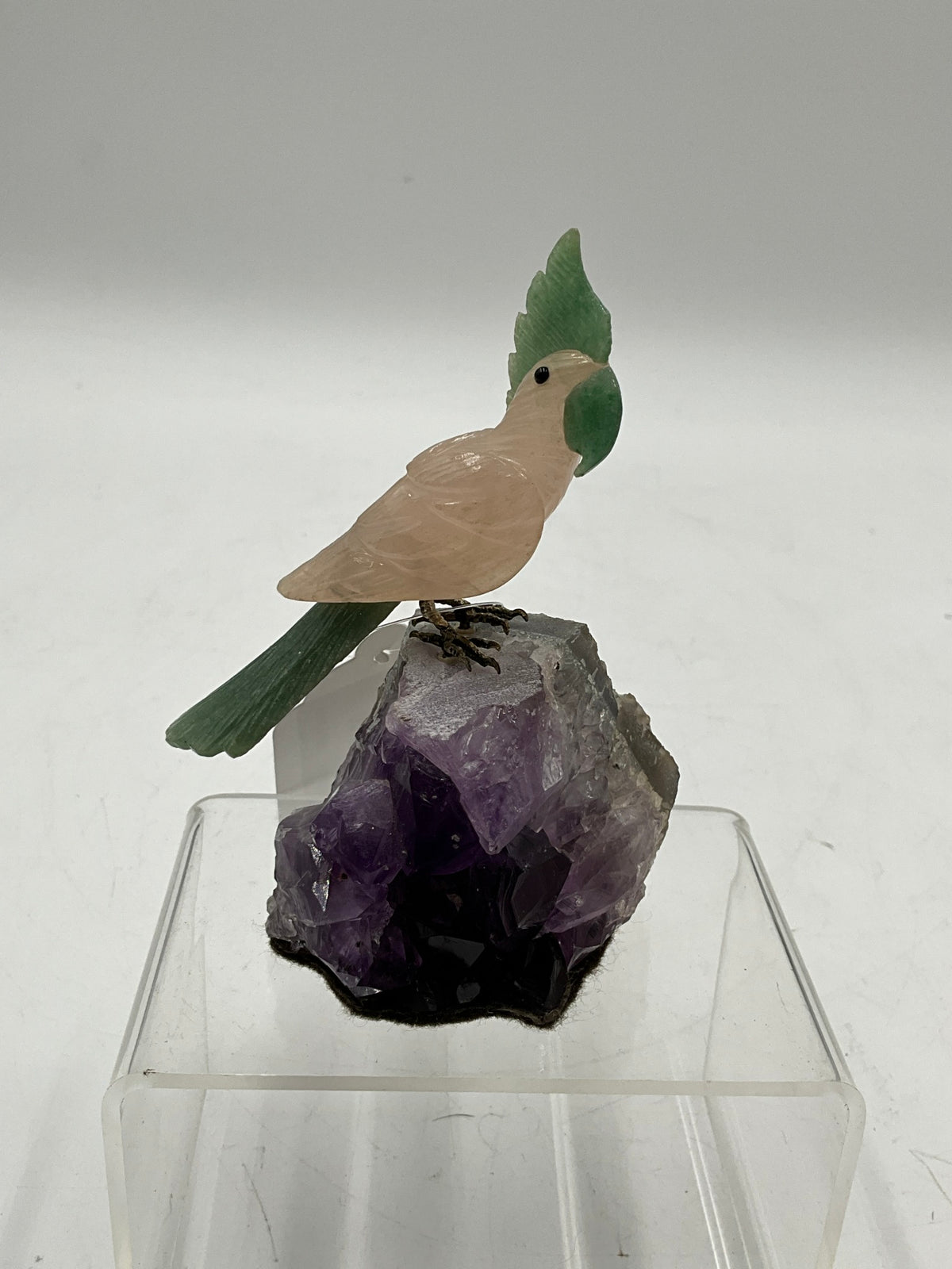 Parrot