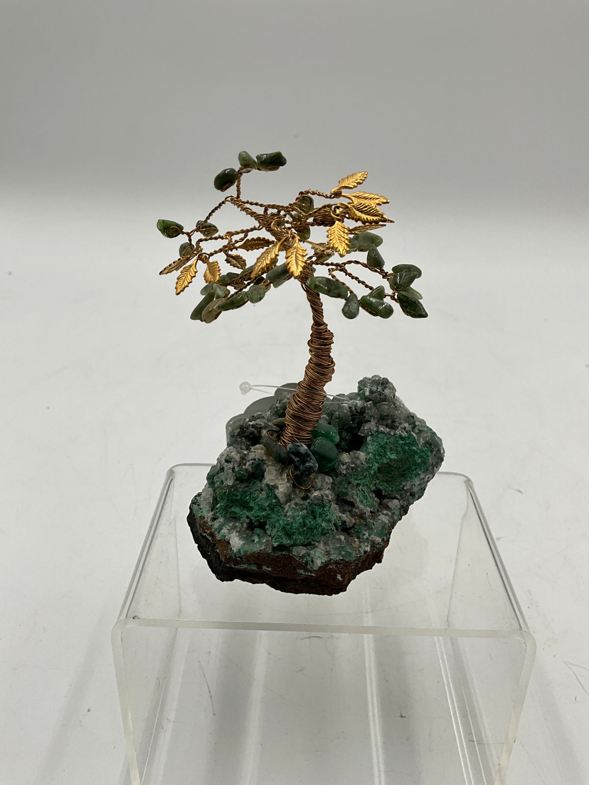 Bonsai Tree
