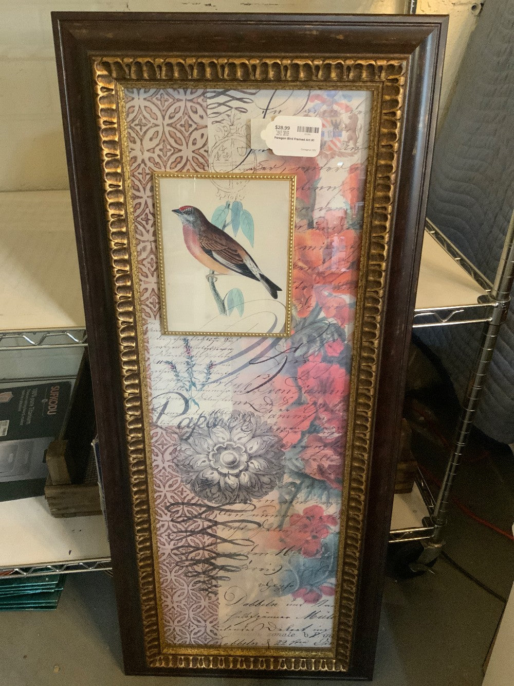 Paragon Bird Framed Art #1