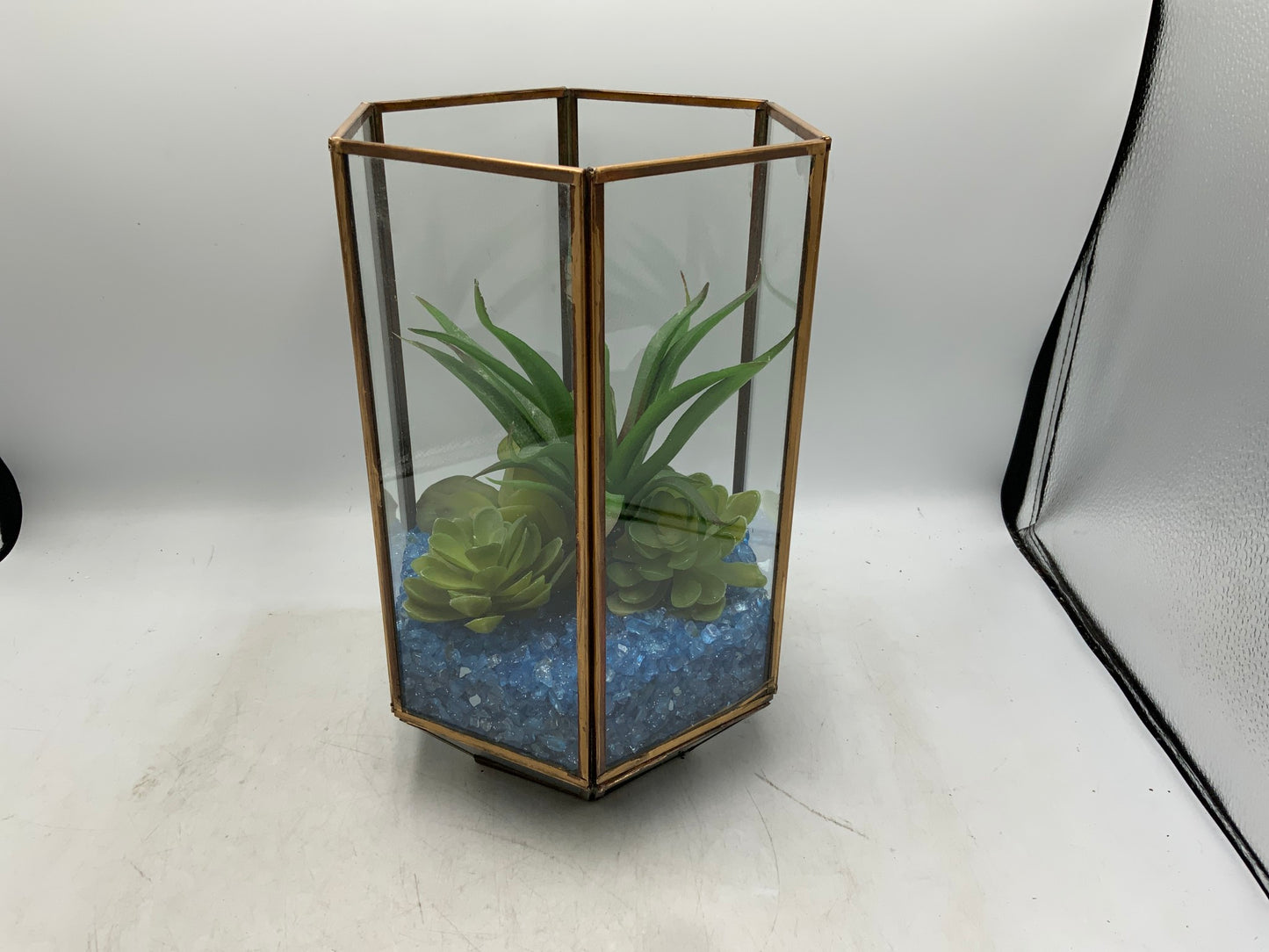 Brass / Glass Succulent Terrarium