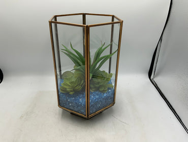 Brass / Glass Succulent Terrarium