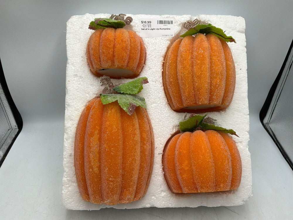 Set of 4 Light Up Pumpkins