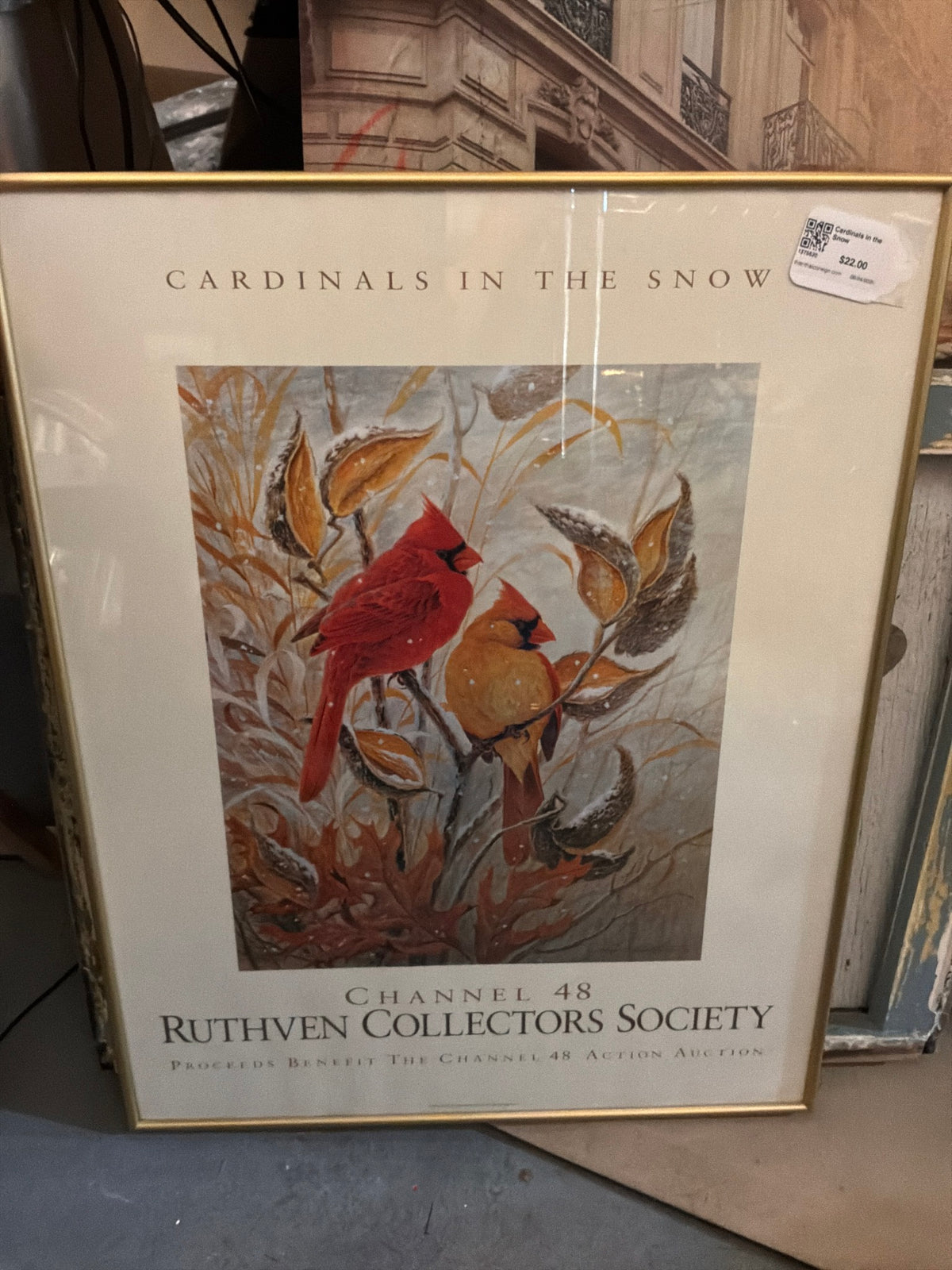 Cardinals in the Snow