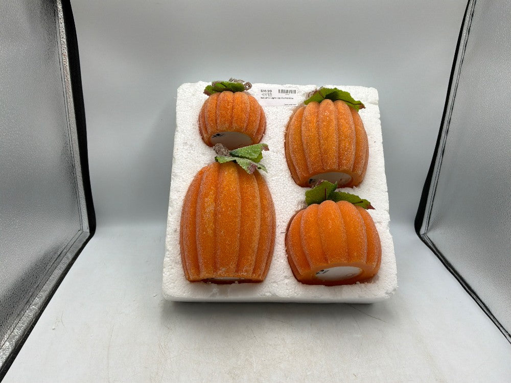 Set of 4 Light Up Pumpkins