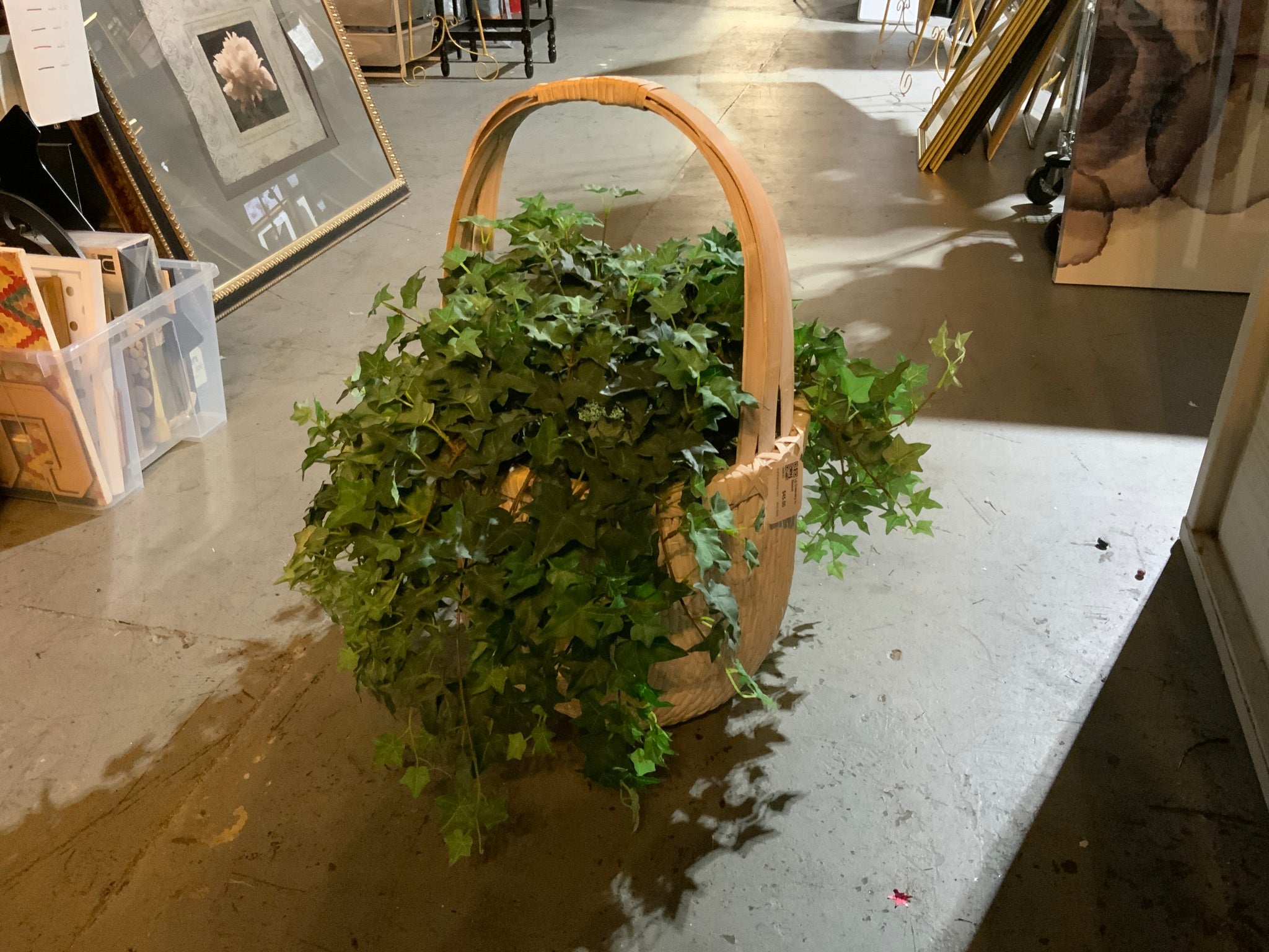 Lg Greenery in Basket