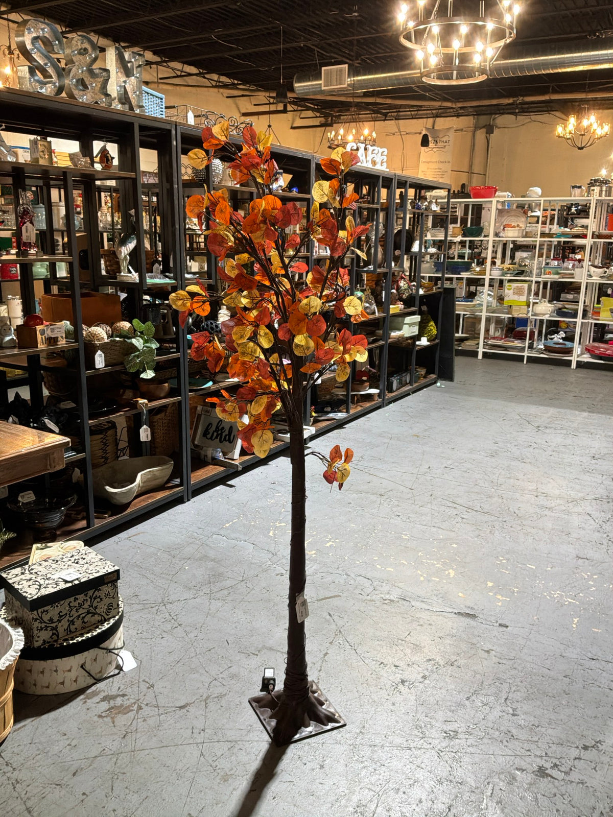 Lg Light Up Fall Tree