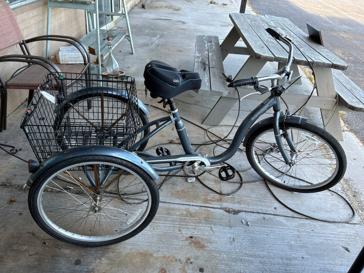 Schwinn Bicycle