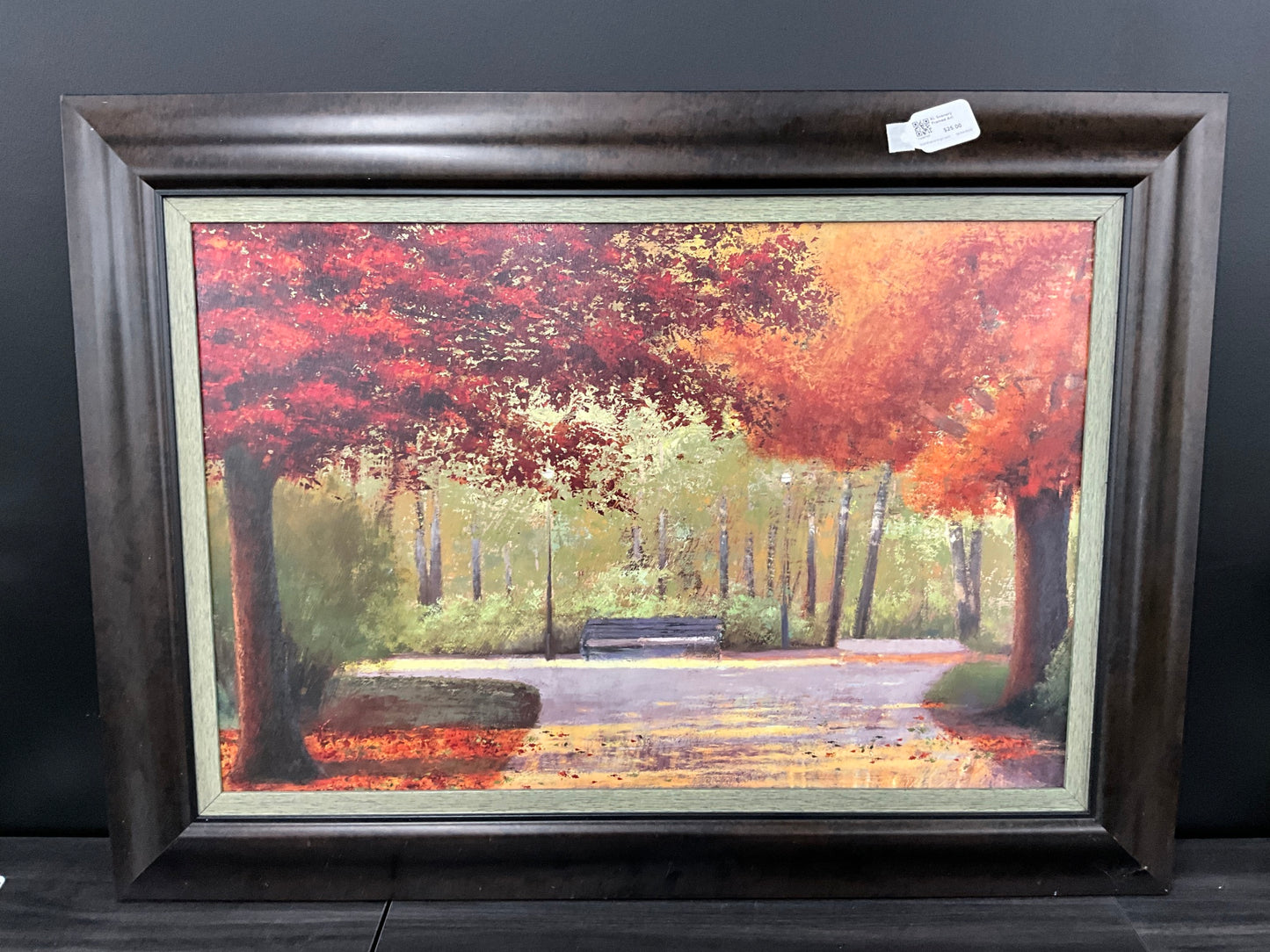XL Scenery Framed Art