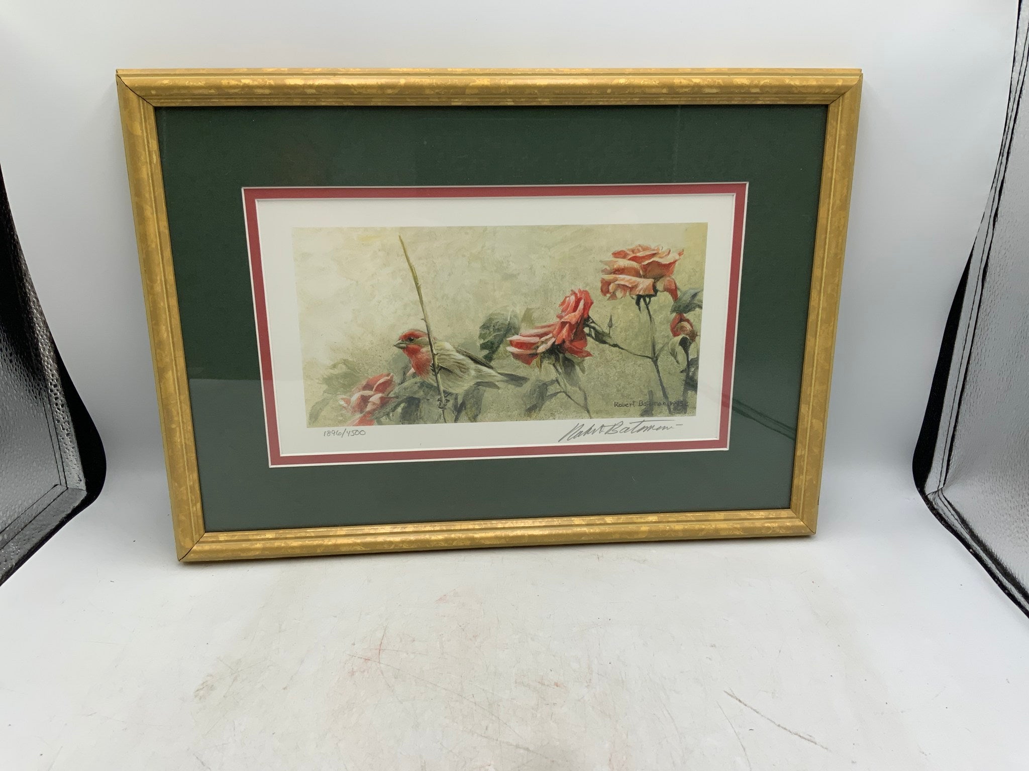 House Finch & Rose Signed Numbered Robert Bateman