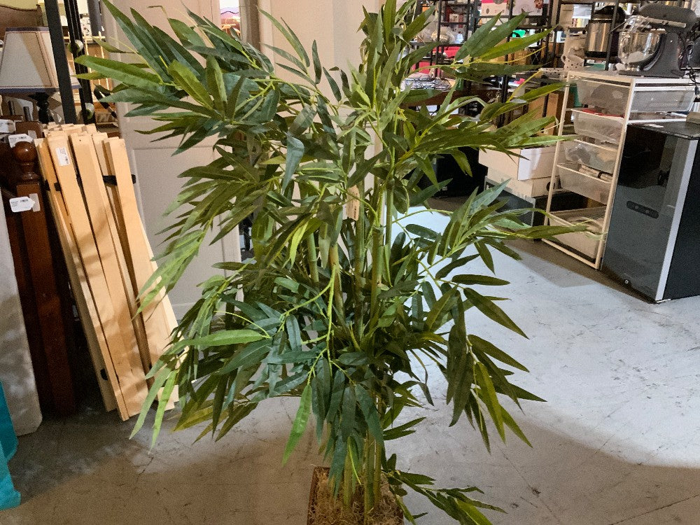 Faux Bamboo Plant