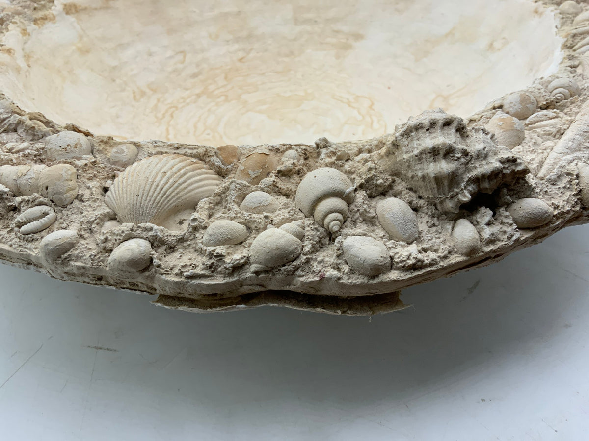 Lg Shell Bowl