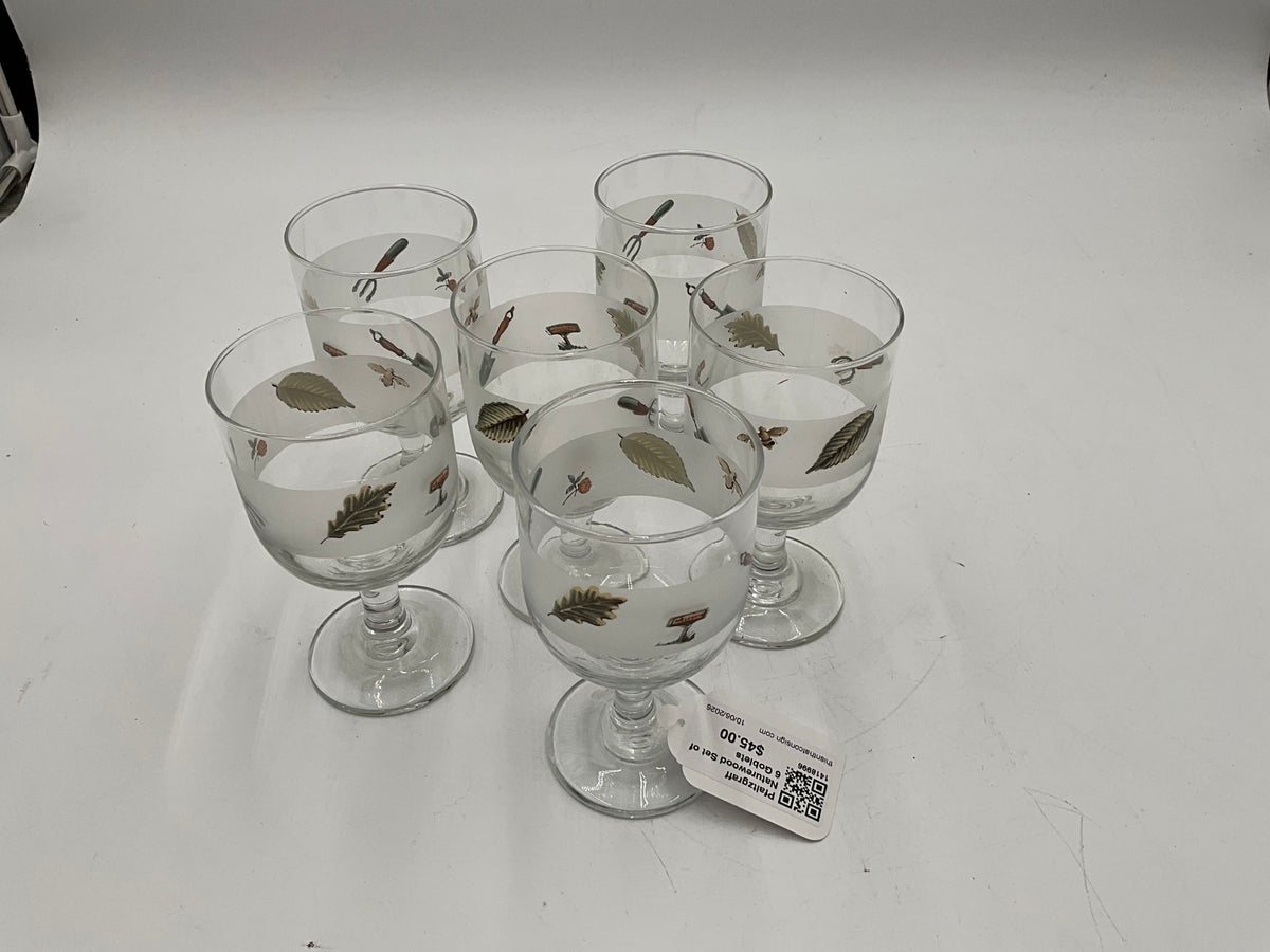 Pfaltzgraff Naturewood Set of 6 Goblets