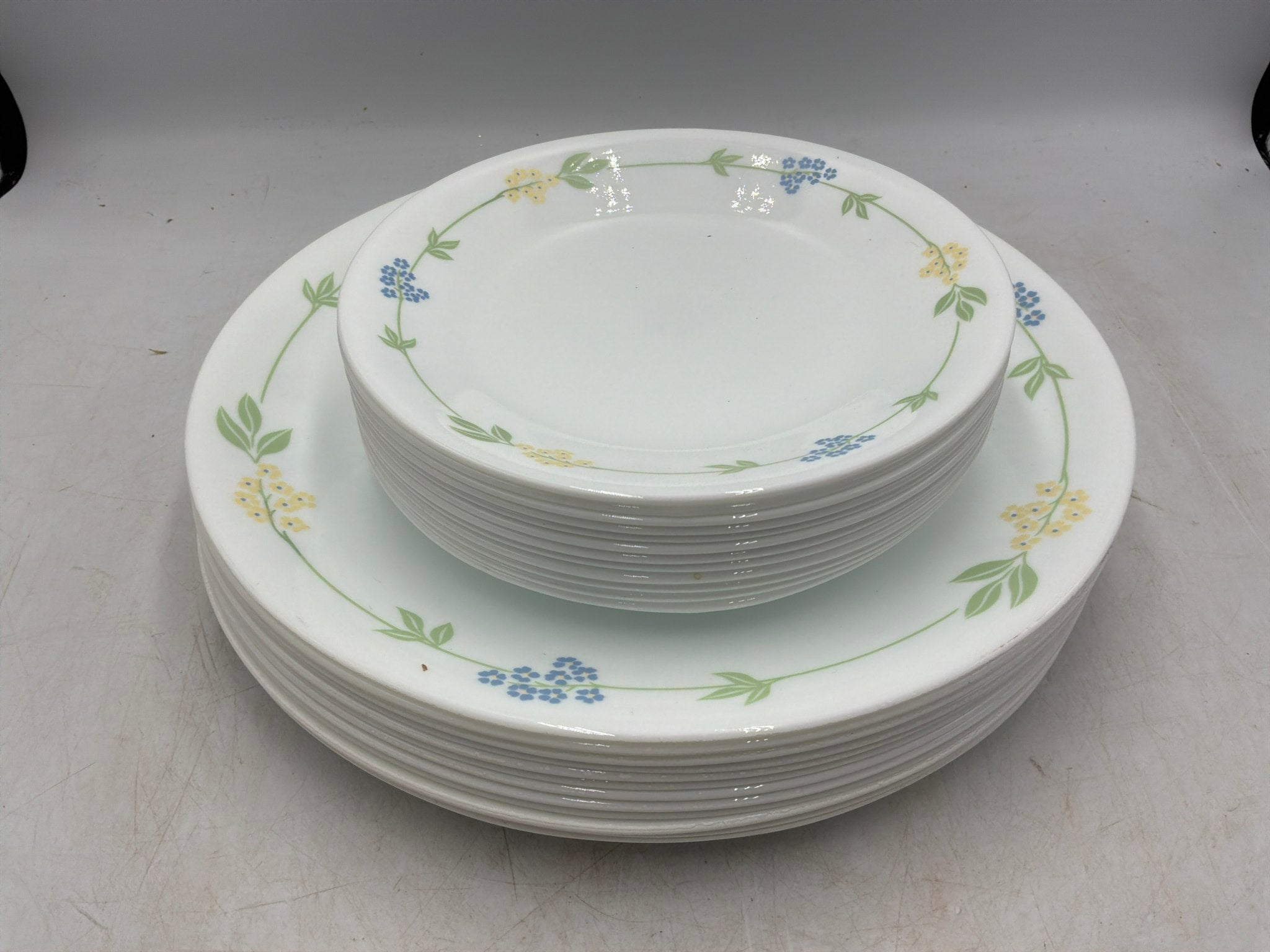 Corelle 24 pc Secret Garden Dish Set