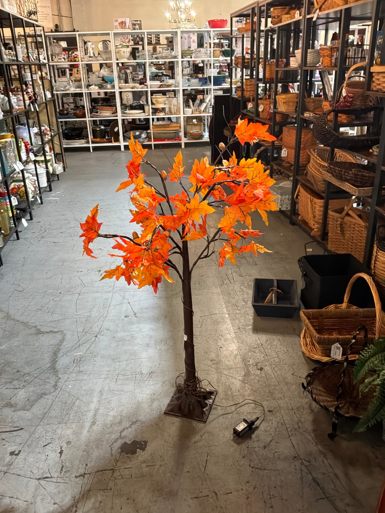 Sm Light Up Fall Tree