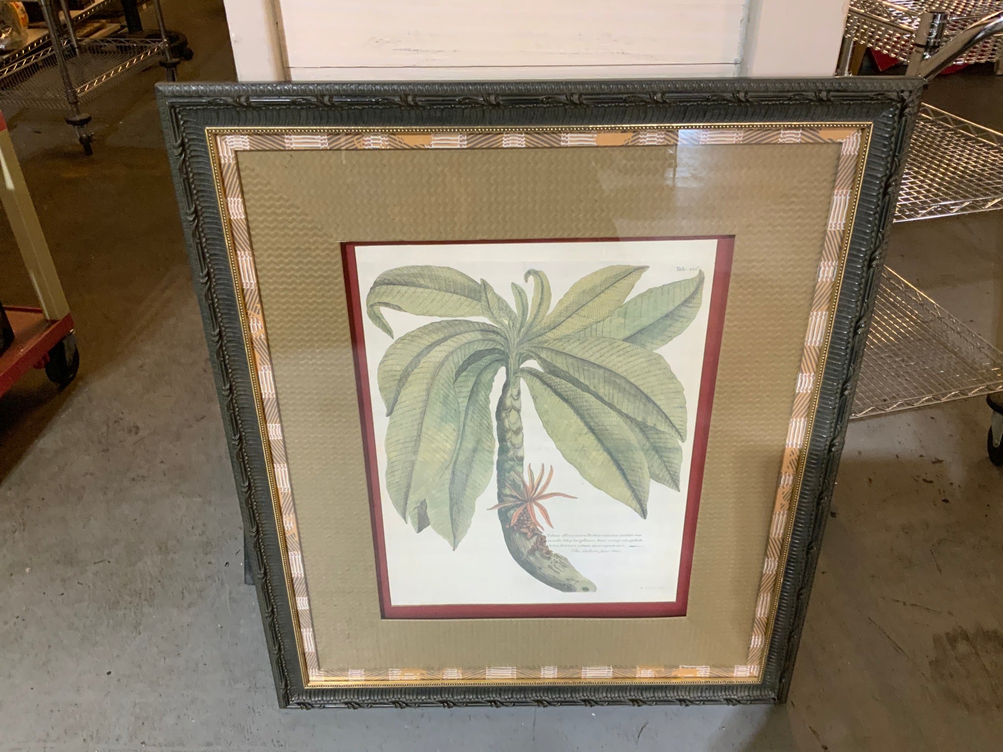 Leaf Framed Art by John Richard