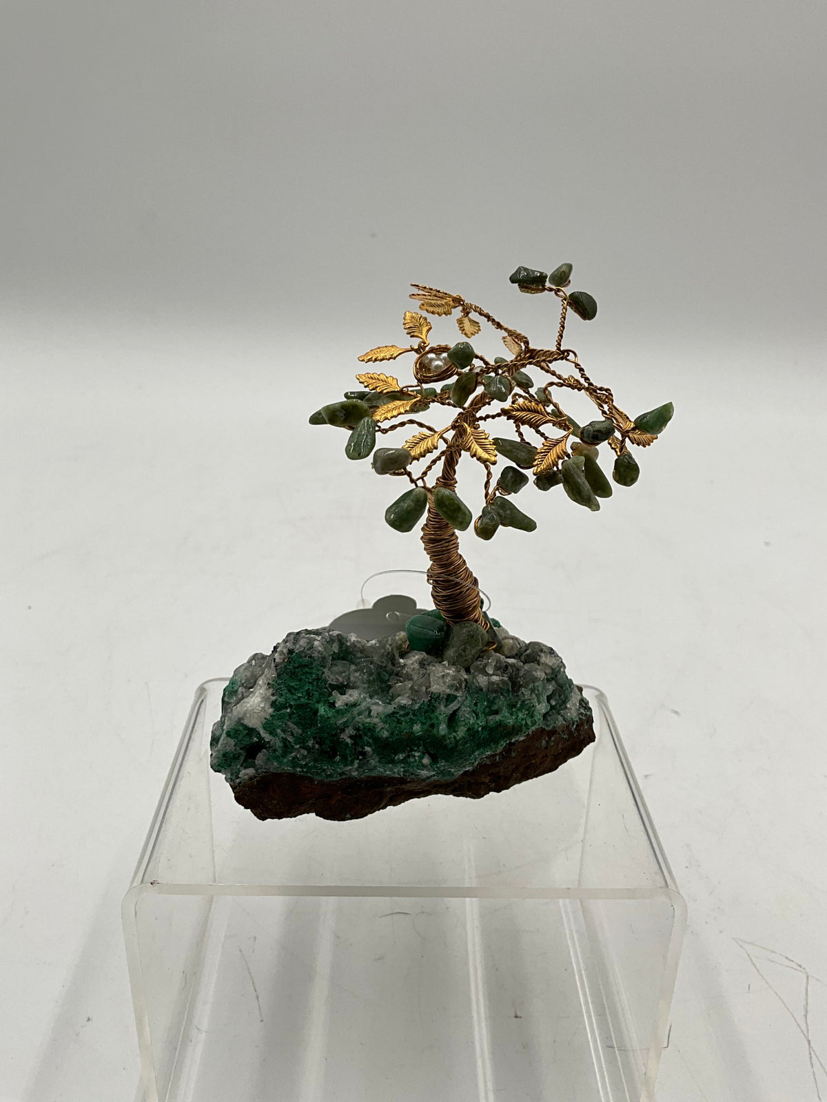 Bonsai Tree