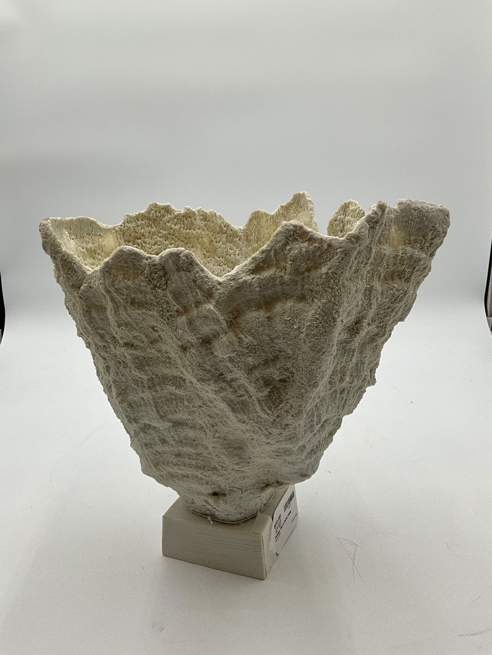 Pottery Barn Coral Vase