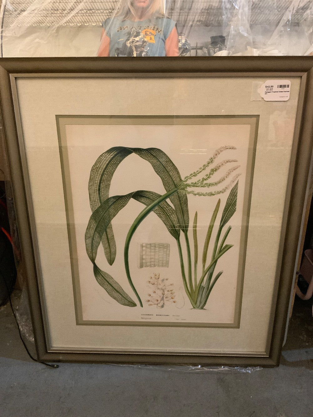 Paragon Tropical Grass Framed Art