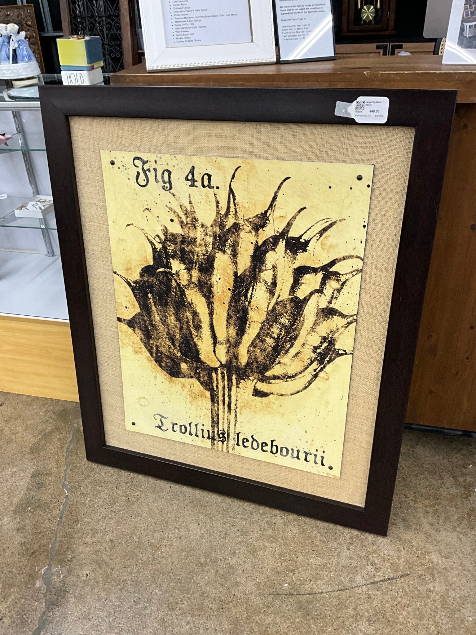 Large Fig Wall Decor