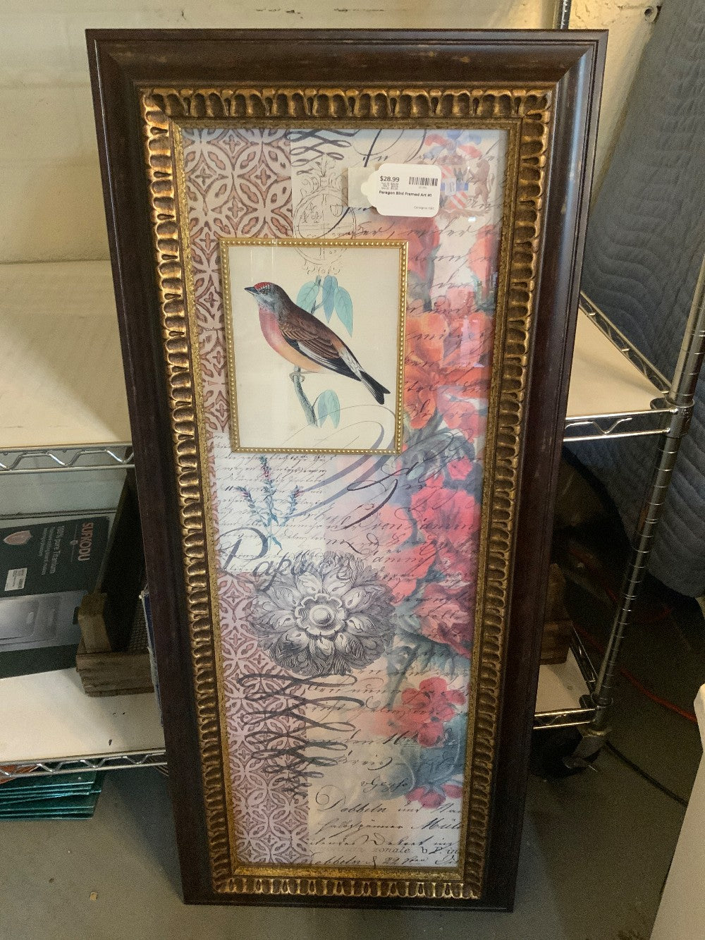Paragon Bird Framed Art #1