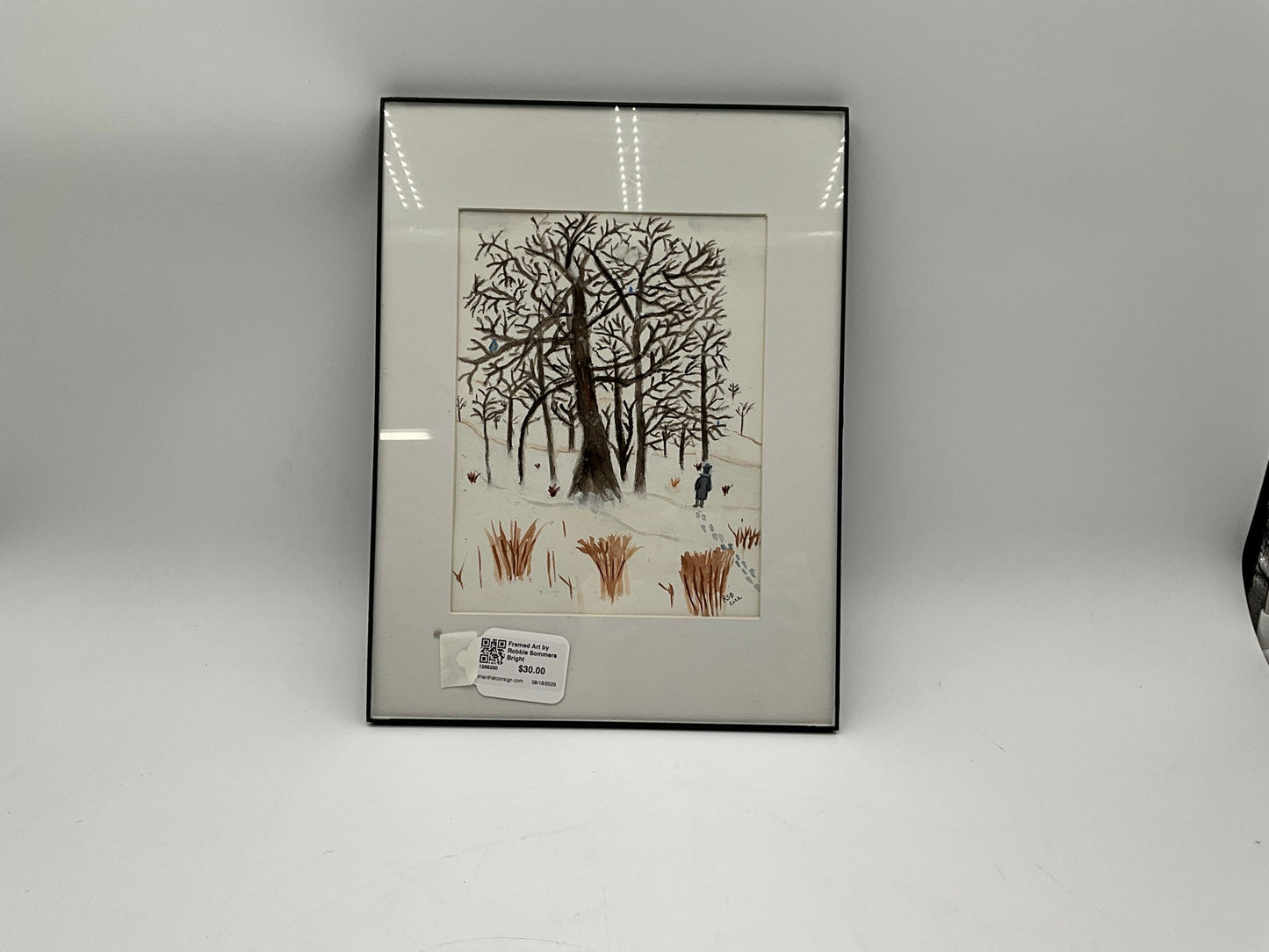 Framed Art by Robbie Sommers Bright