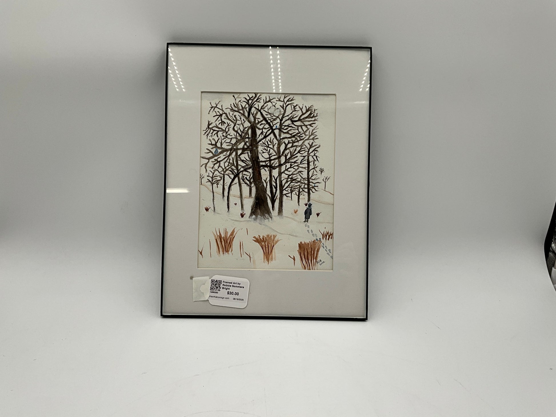 Framed Art by Robbie Sommers Bright