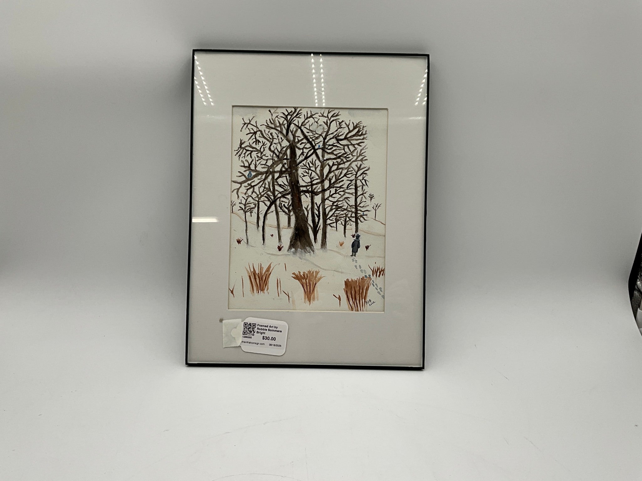 Framed Art by Robbie Sommers Bright