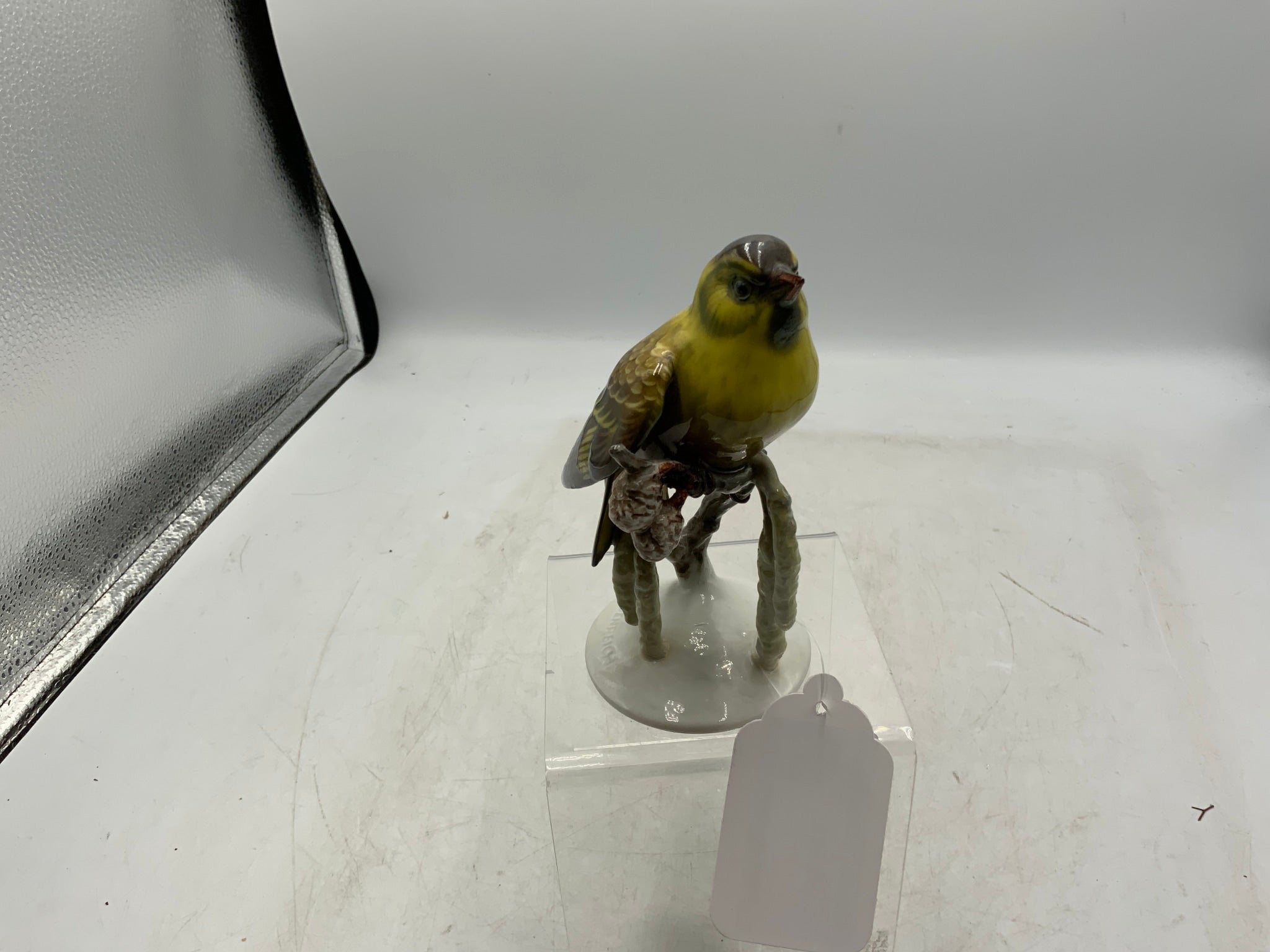 Heidehreion Bird