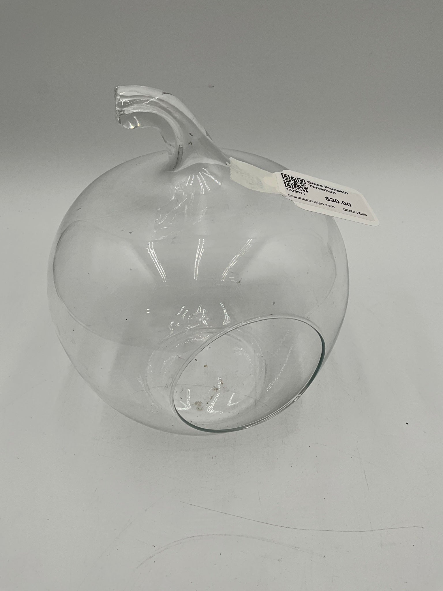 Glass Pumpkin Terrarium