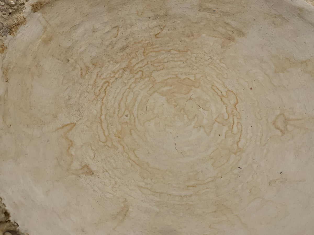Lg Shell Bowl