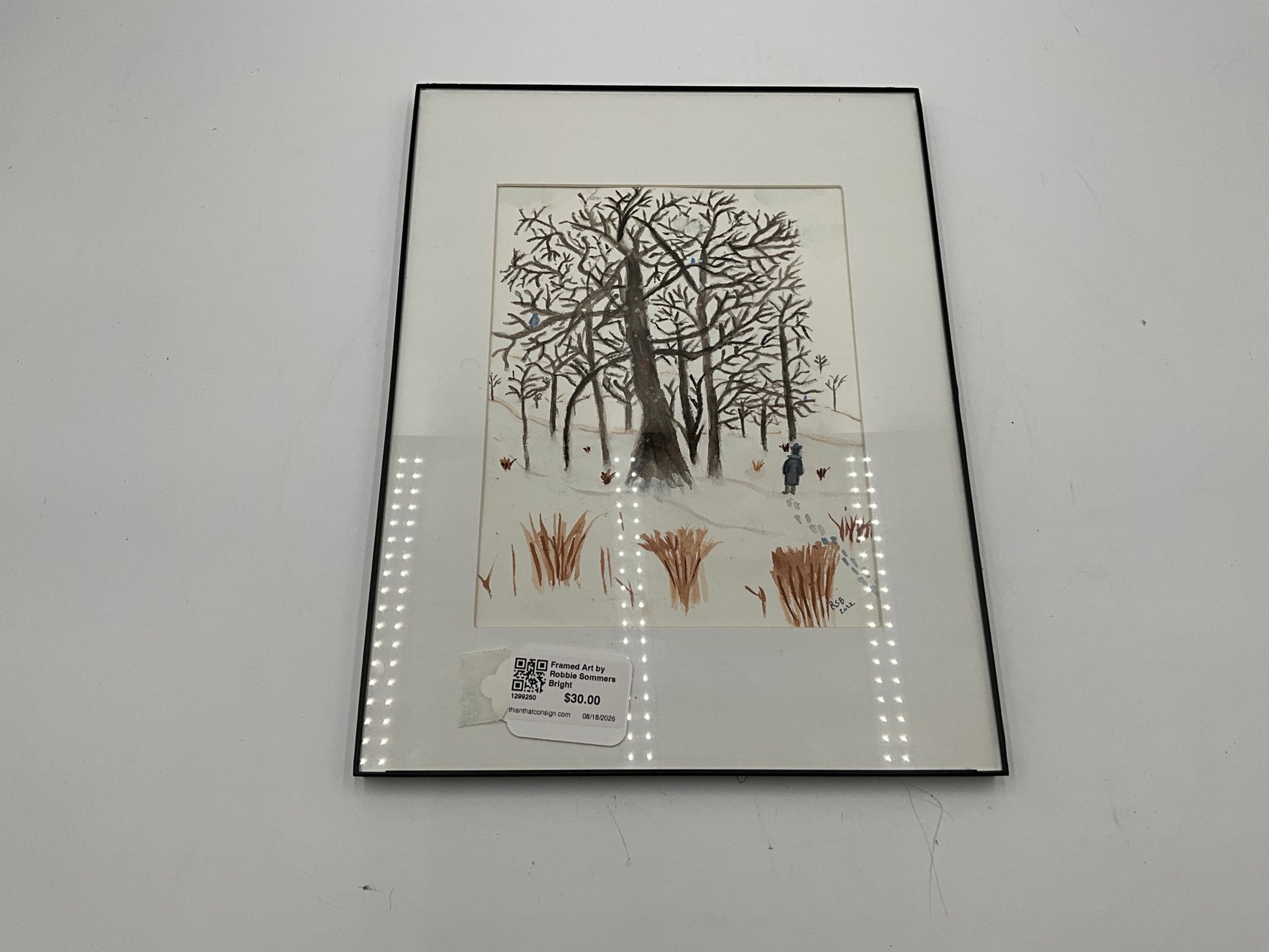 Framed Art by Robbie Sommers Bright