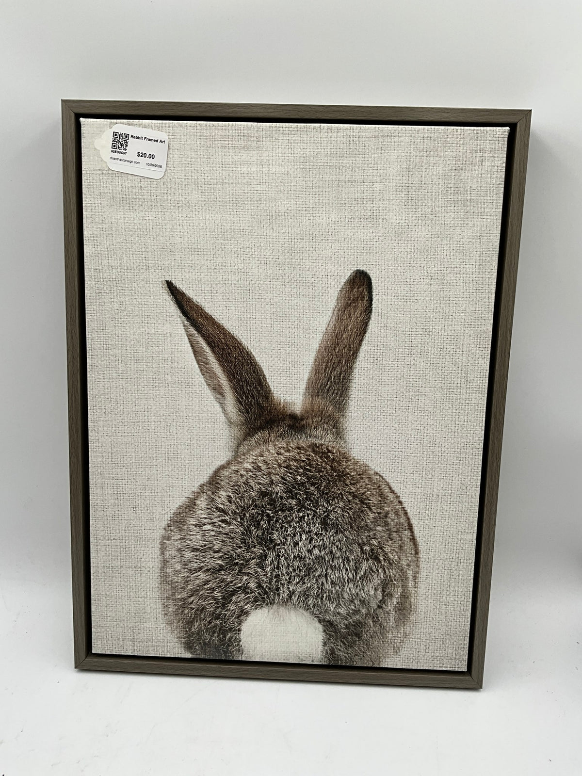 Rabbit Framed Art