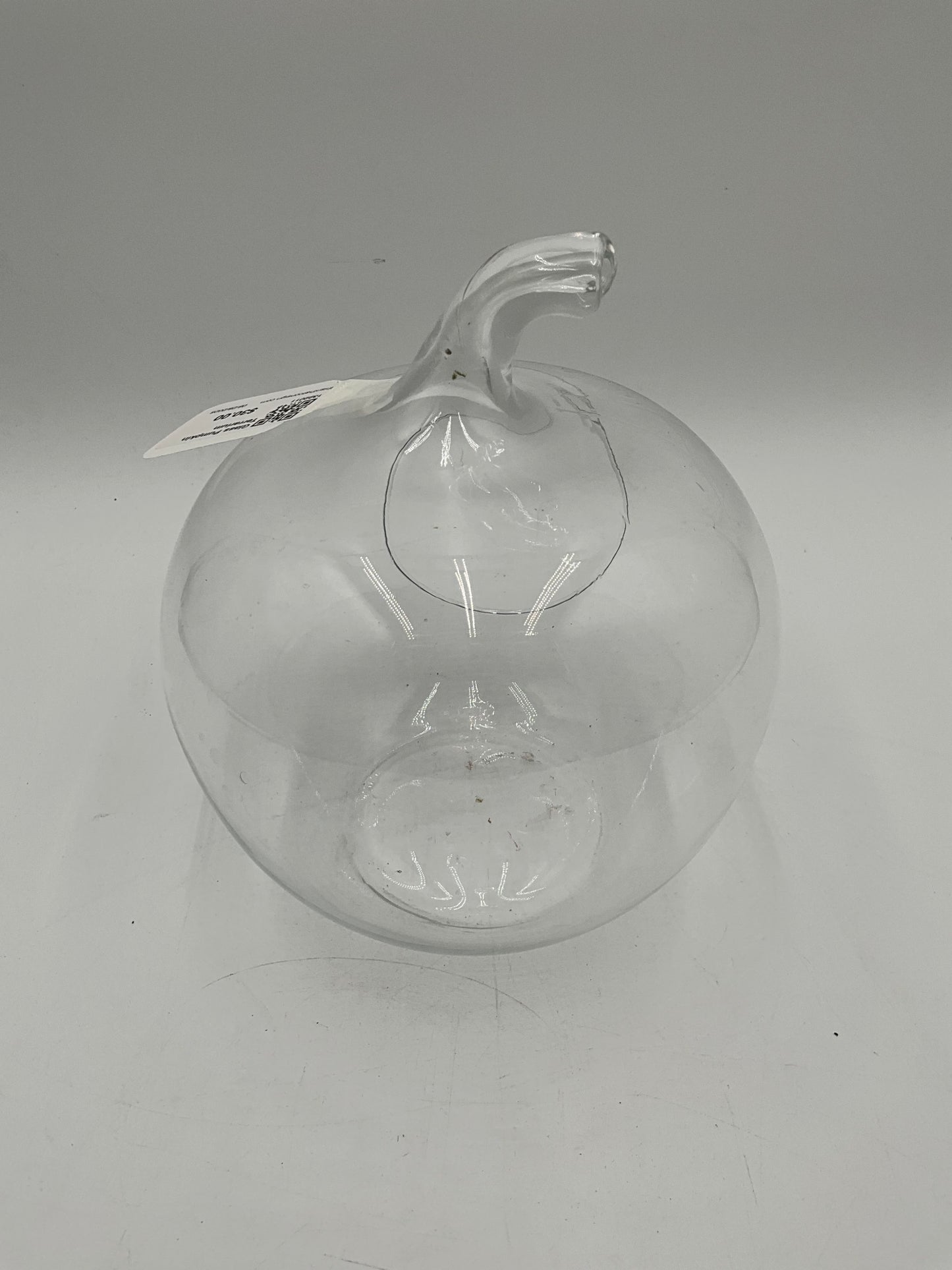 Glass Pumpkin Terrarium