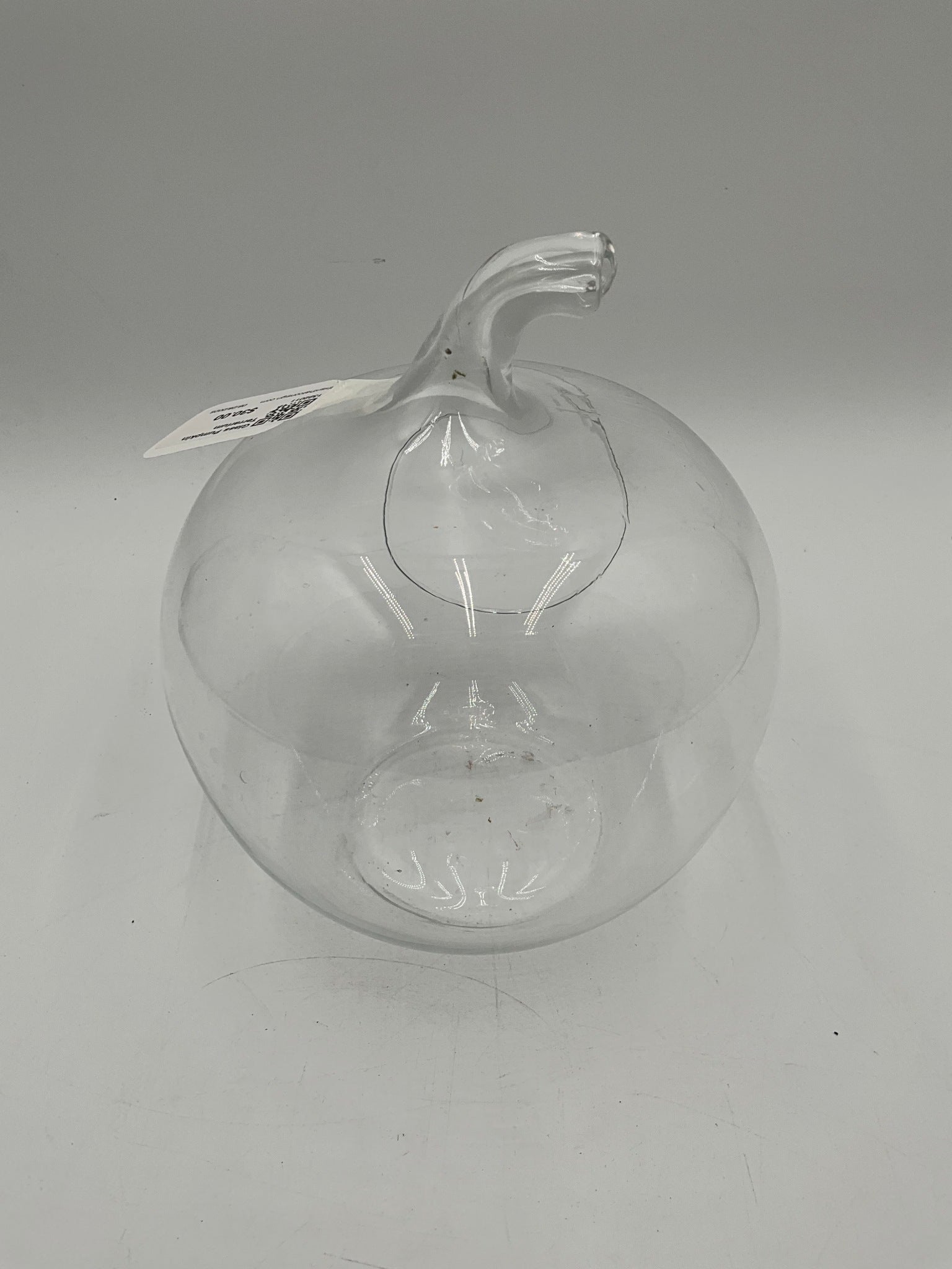 Glass Pumpkin Terrarium