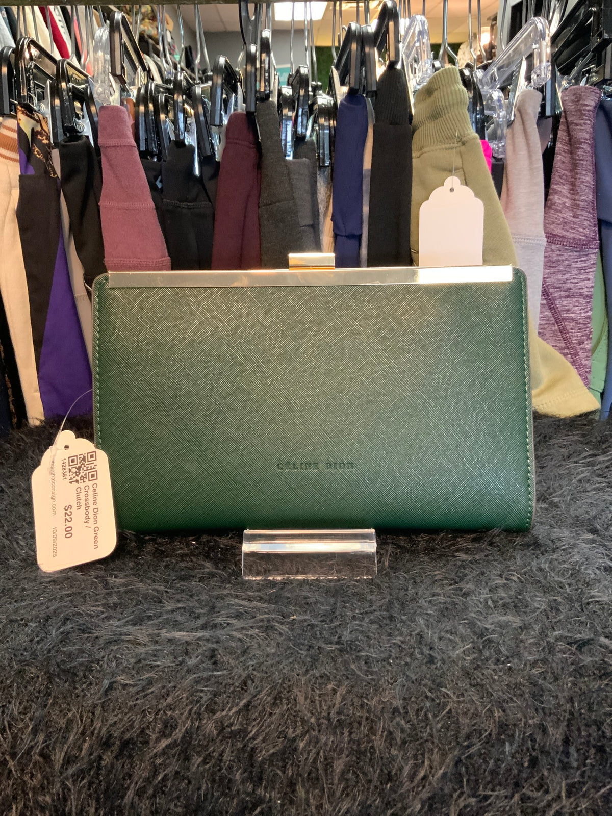 Celine Dion Green Crossbody / Clutch