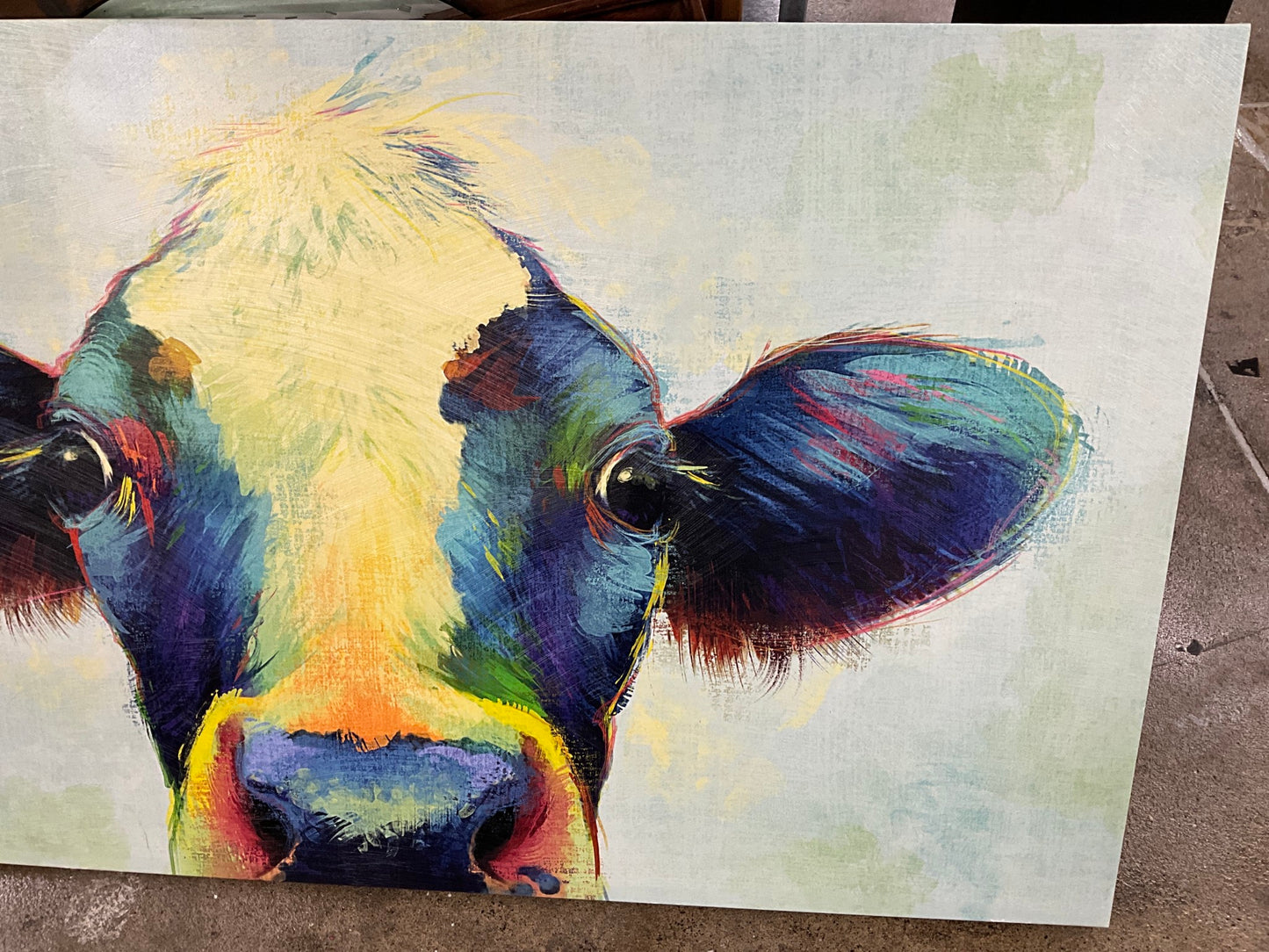 XL Cow Canvas Art