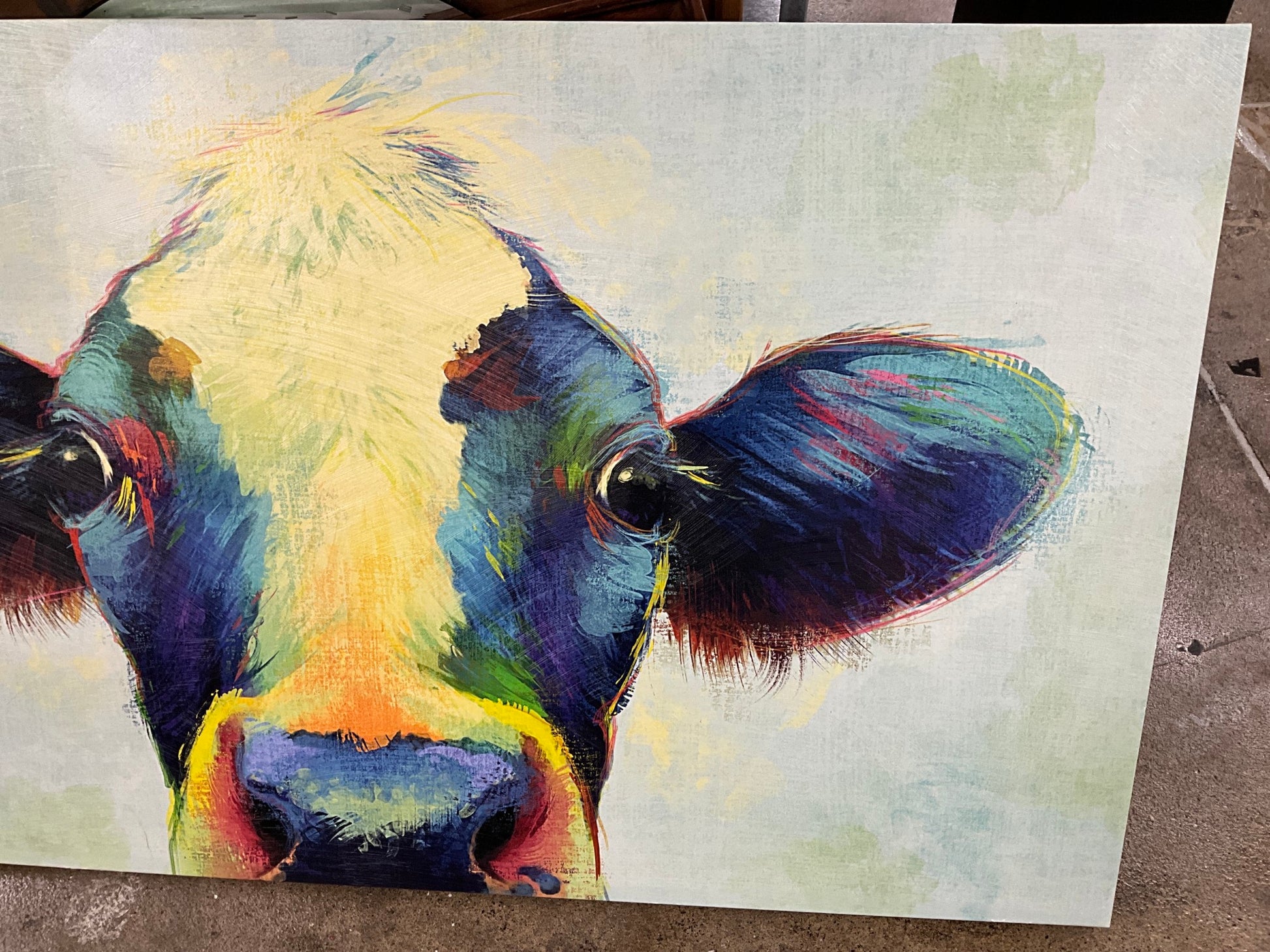 XL Cow Canvas Art
