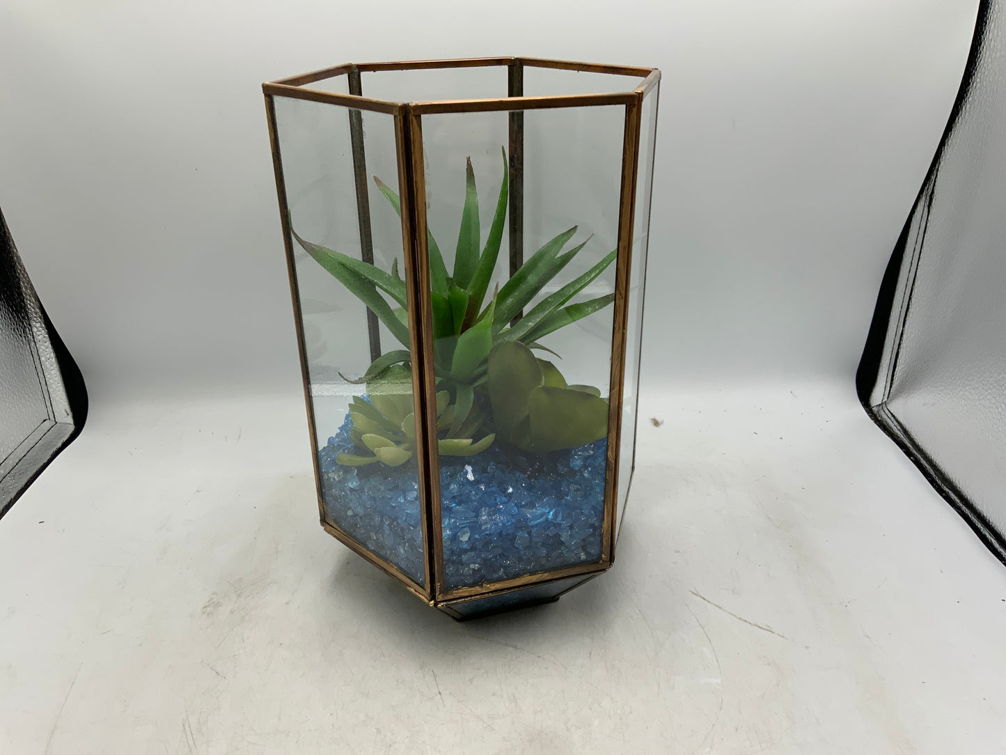 Brass / Glass Succulent Terrarium