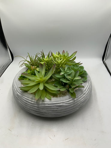Lg Faux Succulent