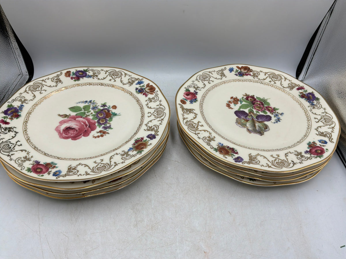 Erphila Dish Set of 8