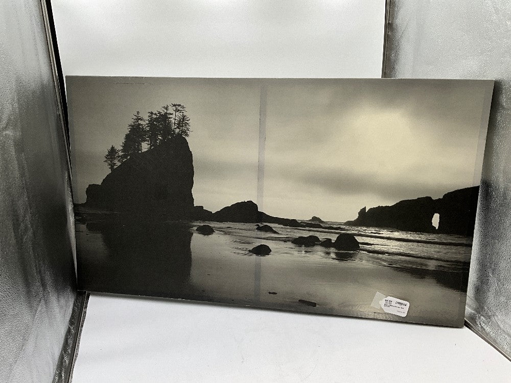 Black & White Canvas - The Solitude