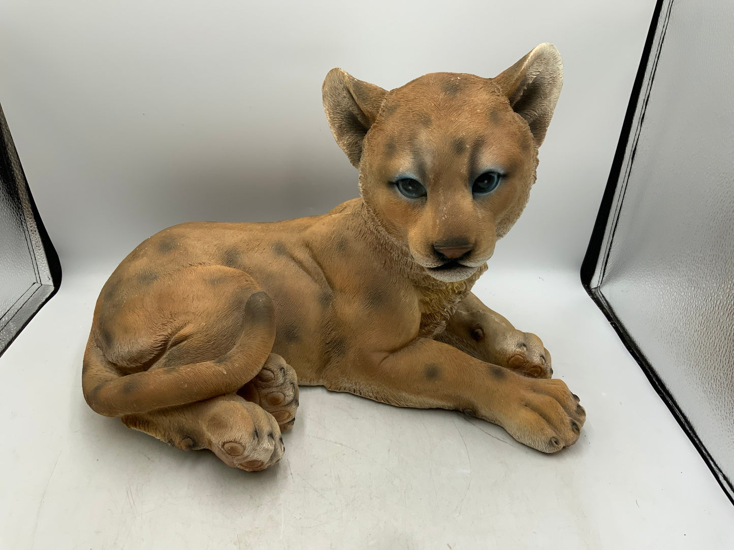 Lg Leopard Cub