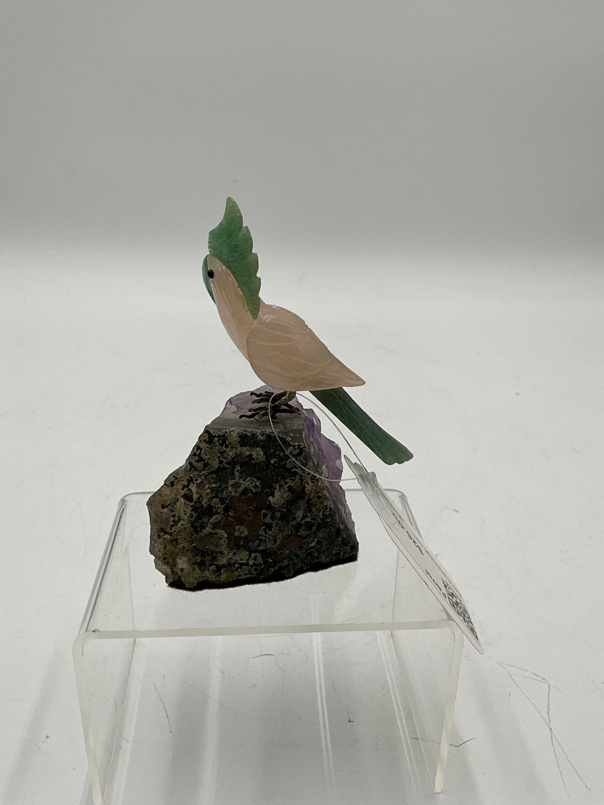 Parrot